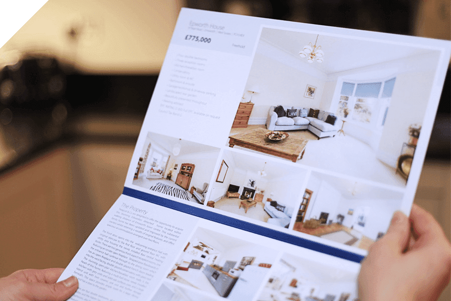 Professional Brochures